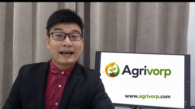 Thomas Lindqvist — video testimonial